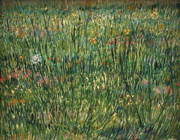 Patch of Grass, Vincent Van Gogh